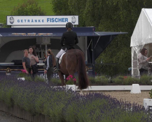 Reitturnier Lindlar - Reitanlage Dückers 2024