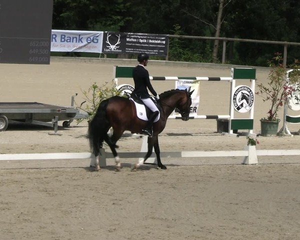 Reitturnier Erkrath - Uhlenhof 2024