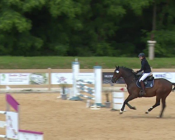 Reitturnier Tiefenhof/Opf. 2024