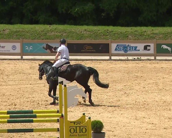 Reitturnier Tiefenhof/Opf. 2024
