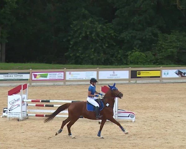 Reitturnier Tiefenhof/Opf. 2024