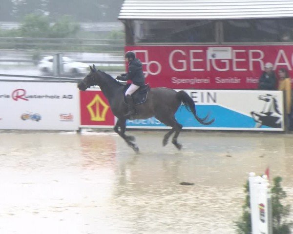Reitturnier Wädenswil 2024