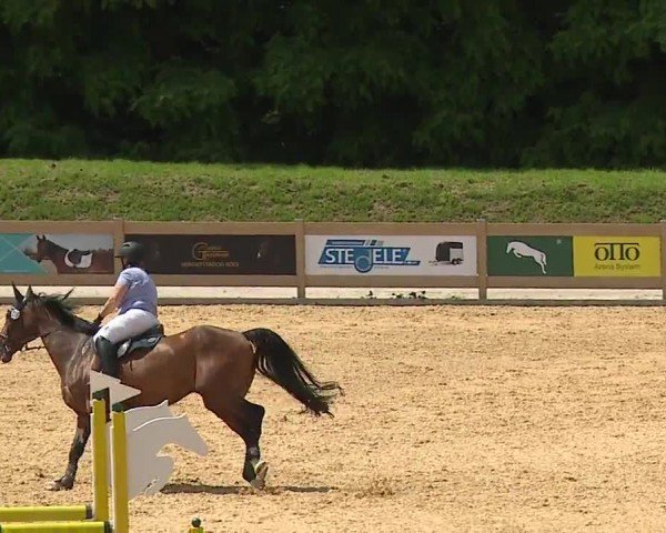 Reitturnier Tiefenhof/Opf. 2024