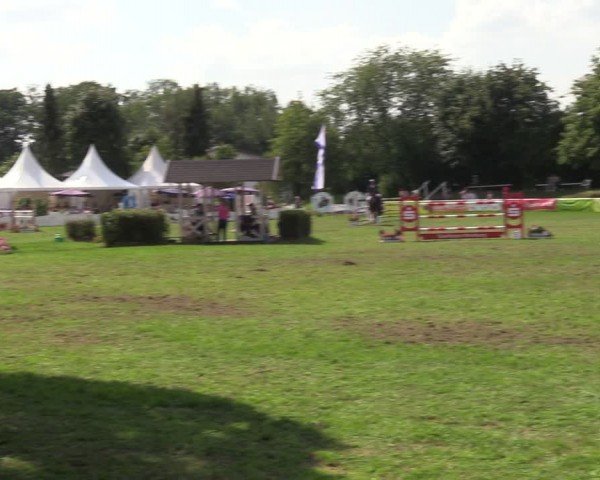 Reitturnier Nienburg 2024