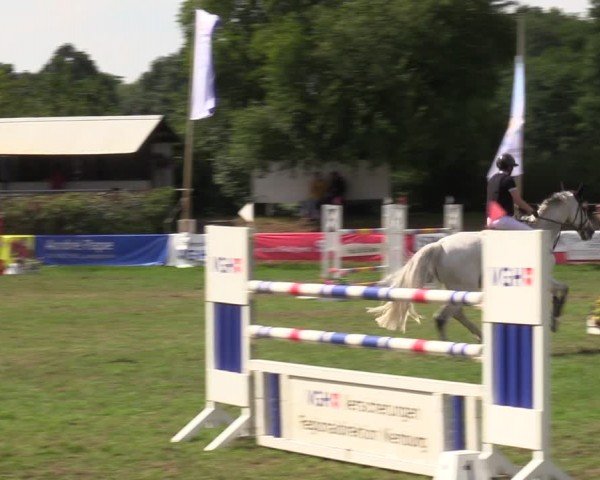 Reitturnier Nienburg 2024