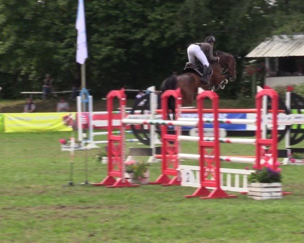 Reitturnier Nienburg 2024