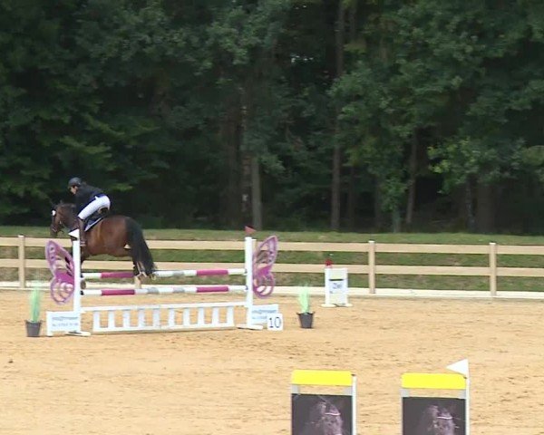 Reitturnier Tiefenhof/Opf. 2024