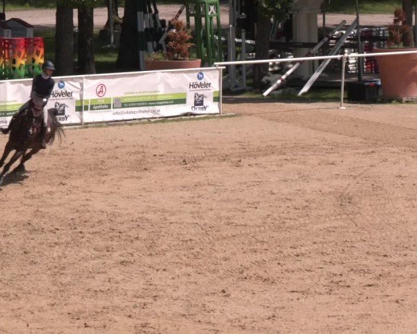 Reitturnier Stadl-Paura 2024