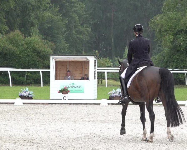 Reitturnier Grüningen 2024