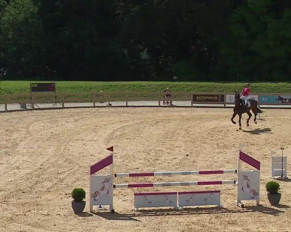 Reitturnier Tiefenhof/Opf. 2024