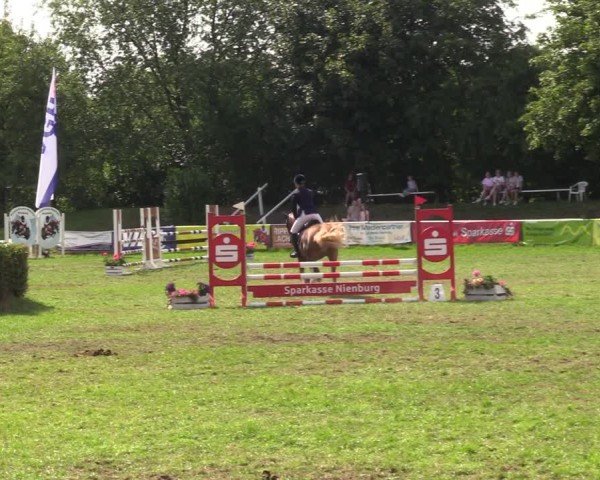 Reitturnier Nienburg 2024