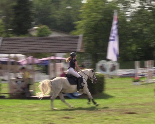 Reitturnier Nienburg 2024