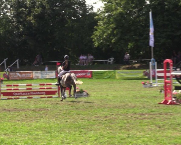Reitturnier Nienburg 2024