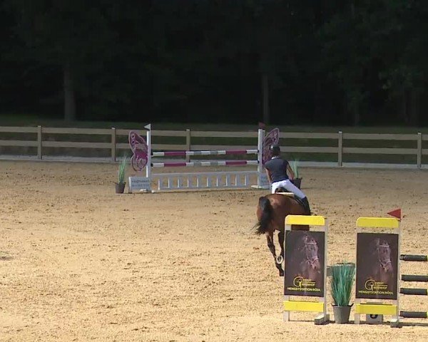 Reitturnier Tiefenhof/Opf. 2024