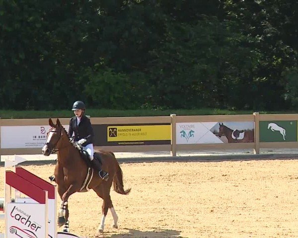 Reitturnier Tiefenhof/Opf. 2024