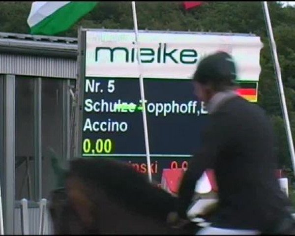Westfälische Meisterschaften 2012