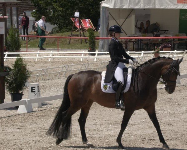 Reitturnier Holschdubrau 2024