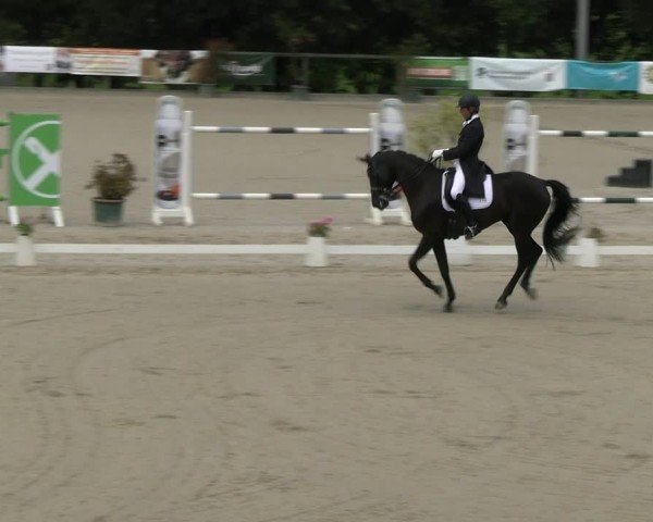Reitturnier Erkrath - Uhlenhof 2024