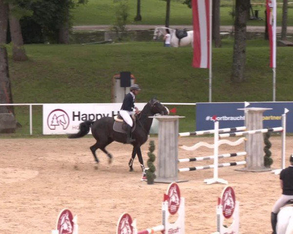 Reitturnier Stadl-Paura 2024