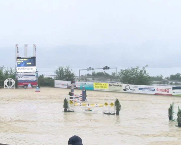 Reitturnier Wädenswil 2024