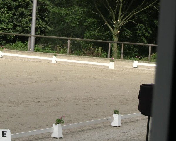 Reitturnier Erkrath - Uhlenhof 2024
