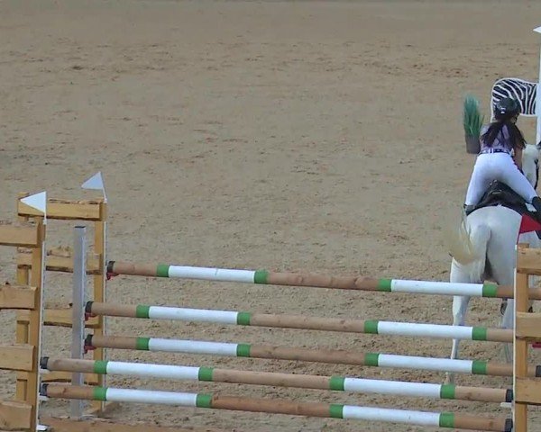 Reitturnier Tiefenhof/Opf. 2024