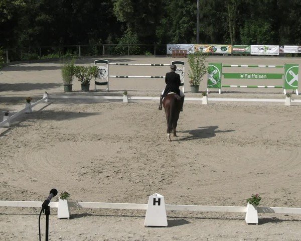Reitturnier Erkrath - Uhlenhof 2024