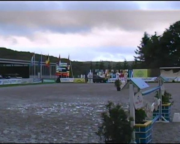 Westfälische Meisterschaften 2012