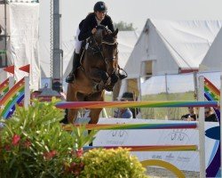 Springpferd MATTIE (KWPN (Niederländisches Warmblut), 2017, von Contendro II)
