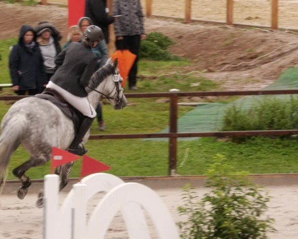 Reitturnier Waldenbuch-Hasenhof 2024