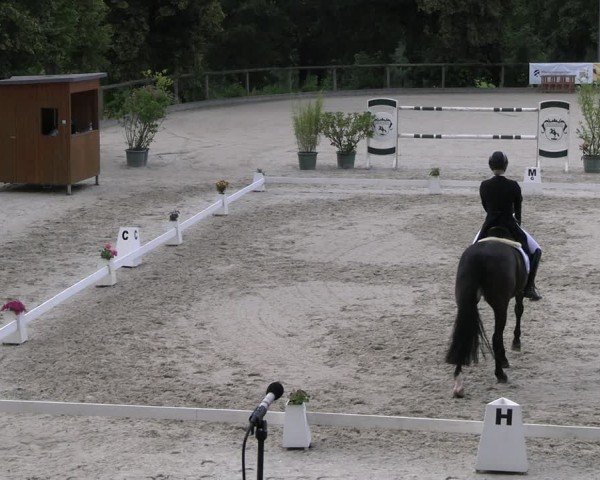 Reitturnier Erkrath - Uhlenhof 2024
