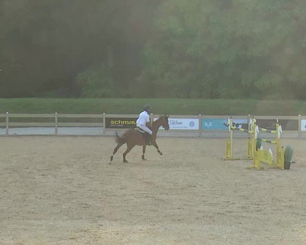 Reitturnier Tiefenhof/Opf. 2024
