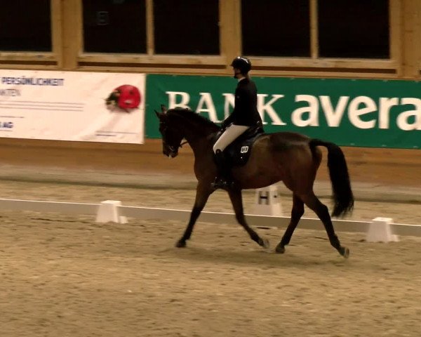 Reitturnier Rüti 2021