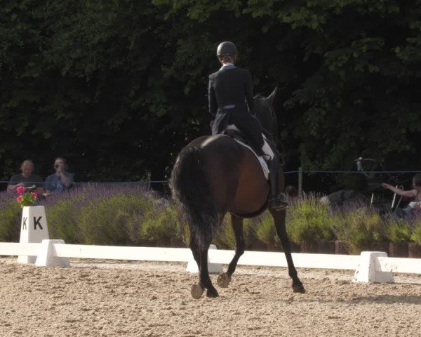 Reitturnier Lindlar - Reitanlage Dückers 2024