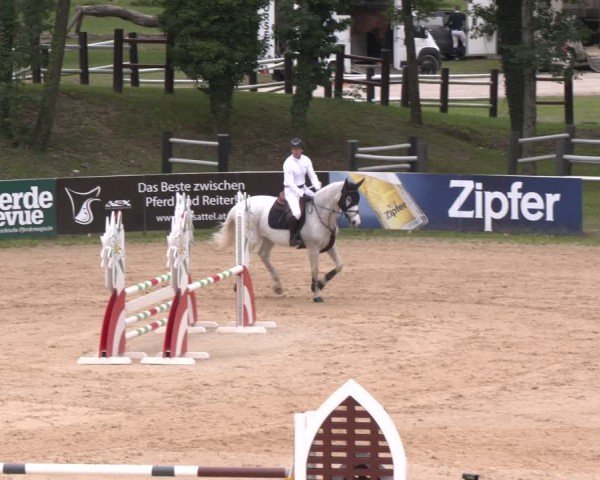 Reitturnier Stadl-Paura 2024