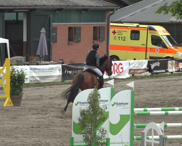 Reitturnier Breitenburg 2024