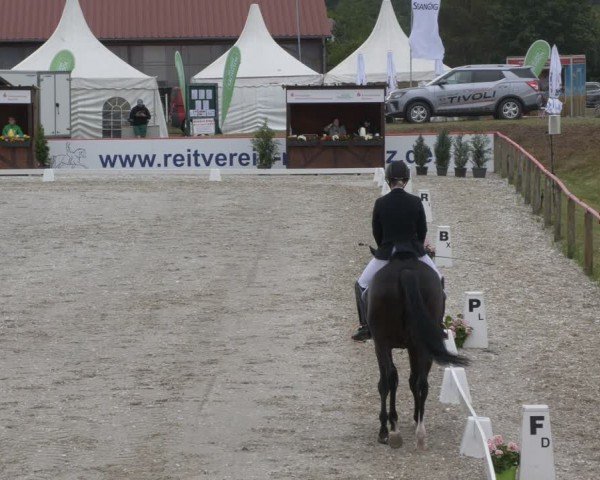 Reitturnier Holschdubrau 2024