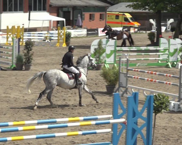 Reitturnier Breitenburg 2024