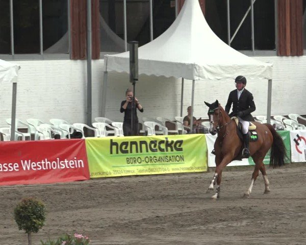 Reitturnier Breitenburg 2024