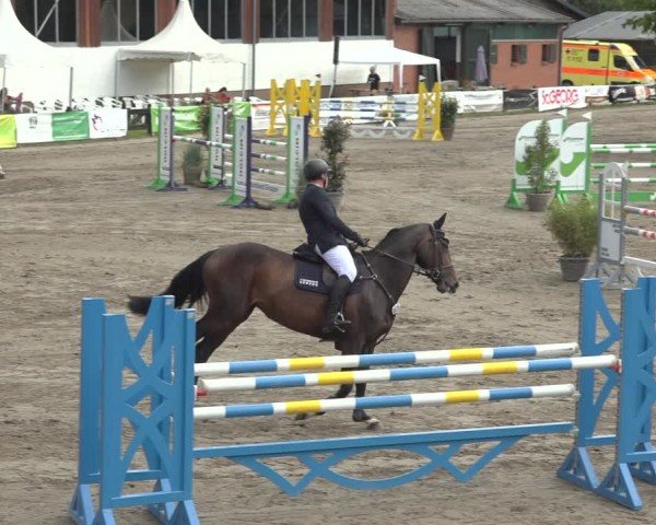 Reitturnier Breitenburg 2024