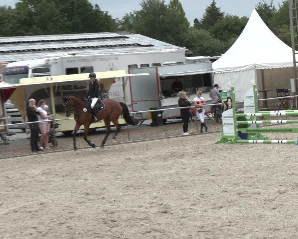 Reitturnier Großenwiehe 2024