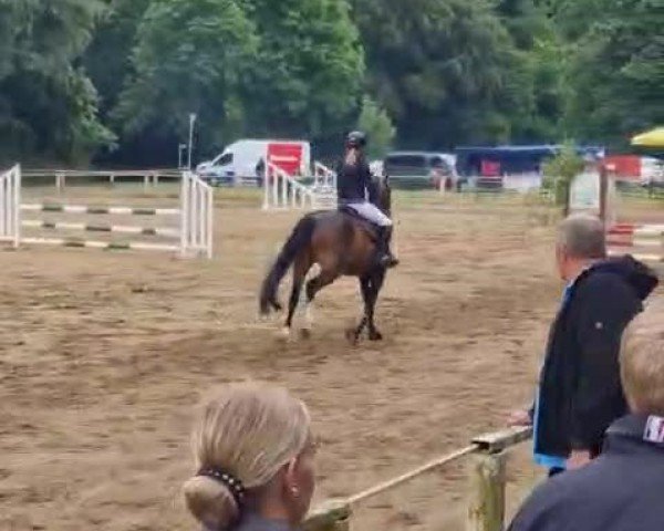 Video von Bellatrix B