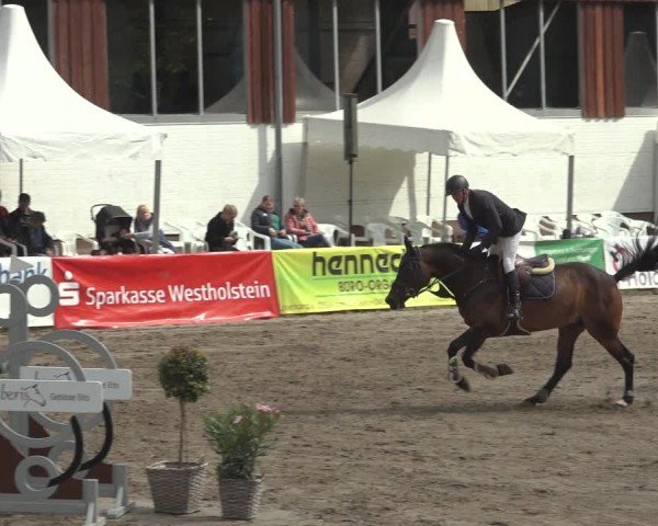 Reitturnier Breitenburg 2024