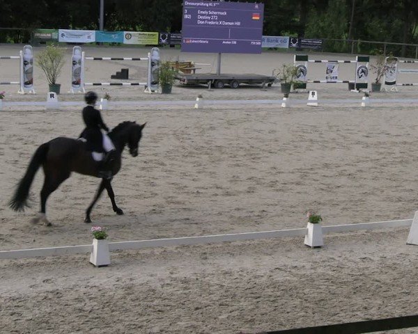 Reitturnier Erkrath - Uhlenhof 2024