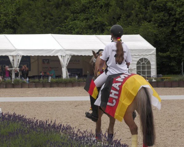 Reitturnier Lindlar - Reitanlage Dückers 2024