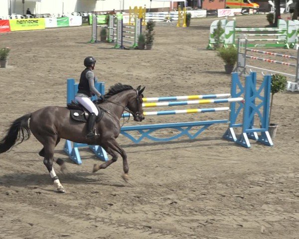 Reitturnier Breitenburg 2024