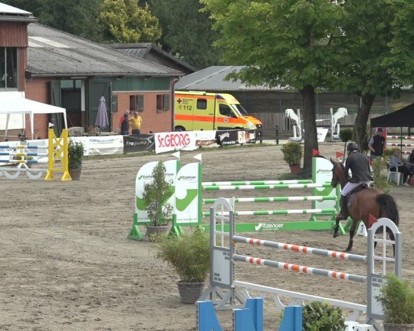 Reitturnier Breitenburg 2024