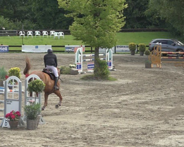 Reitturnier Breitenburg 2024