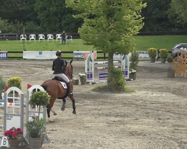 Reitturnier Breitenburg 2024