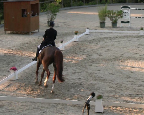 Reitturnier Erkrath - Uhlenhof 2024